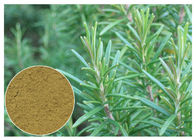 Ursolic Zure Rosemary Herbal Plant Extract Anti Oxydatie voor Kosmetisch CAS 77 52 1