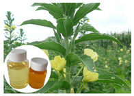 Olie van de de Supplementengla 10% Gele Teunisbloem van de vrouwenovergang de Natuurlijke Dieet
