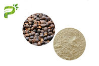 Natuurlijke Cosmetisch ingrediëntcamelia Oleifera Abel Seed Extract Tea Saponins voor Emulgator