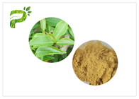HPLC van 2.0ppm 60 Mesh Green Health Powder met Hogere Theepolyphenols