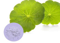Natuurlijke Cosmetische ingrediënten 60 van de Gotukola - 90%-Bladextractie voor Huidzorg