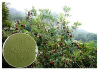 Myricetin 10% - van de Supplementenbayberry van 95% het Natuurlijke Anti Ontstekingspoeder van de de Wortelschors