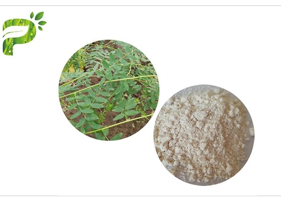 CAS 84687 43 4 Astragalus het Uittreksel Astragaloside IV van Membranaceus het Anti Verouderen van 98%