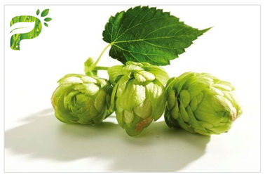 De bloem poederde Kruiden het Bierhop Xanthohumol 98% CAS 6754 58 1 van het Uittreksels Brede Spectrum