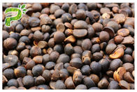 Camellia Oleifera Tea Saponins Natural-Pesticidenpoeder Abel Seed Extract