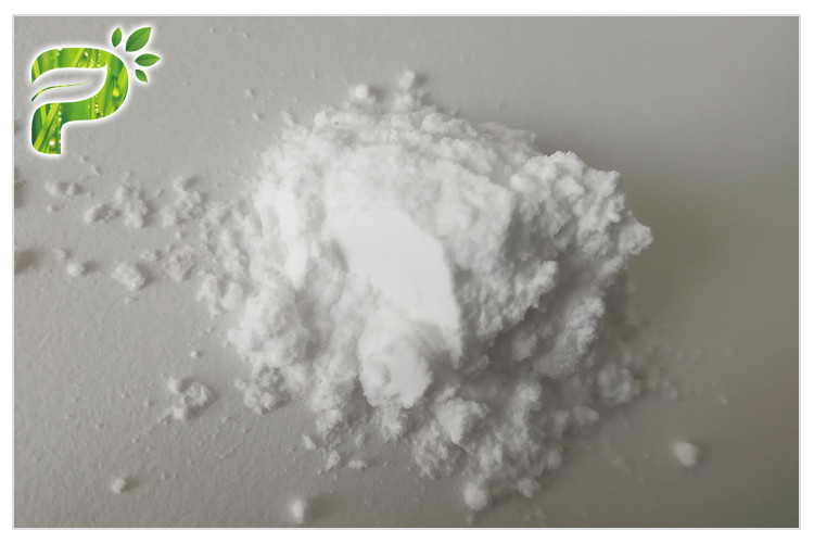 Natriumpolyglutamaat PGA-poeder voor langdurige huidvocht CAS 28829 28 1