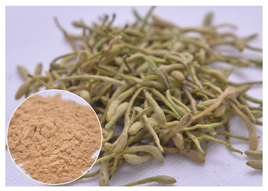 5%, 25% Lonicera japonica Extract Honingstokbloempoeder