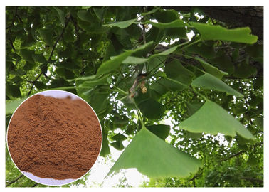 Het natuurlijke Installatieuittreksel verhindert de Rang van het het Bladuittreksel EP van Hart- en vaatziektenginkgo Biloba