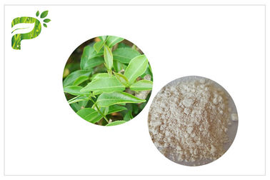 CAS 989 Gallate van 51 5 van het de Theeuittreksel van EGCG Groen Kosmetisch Rangenepigallocatechin Ingrediënt